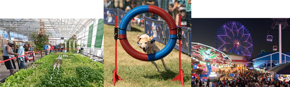 How Your Visit to the State Fair of Texas Benefits Communities 7 Three State Fair experiences: touring Big Tex Urban Farms, watching the All-Star Stunt Dog show, and enjoying illuminated rides at night