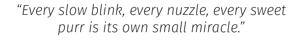 Pets After 50: They're Not Just Companions—They're Lifelines 4 PQ2 Elliott 1125