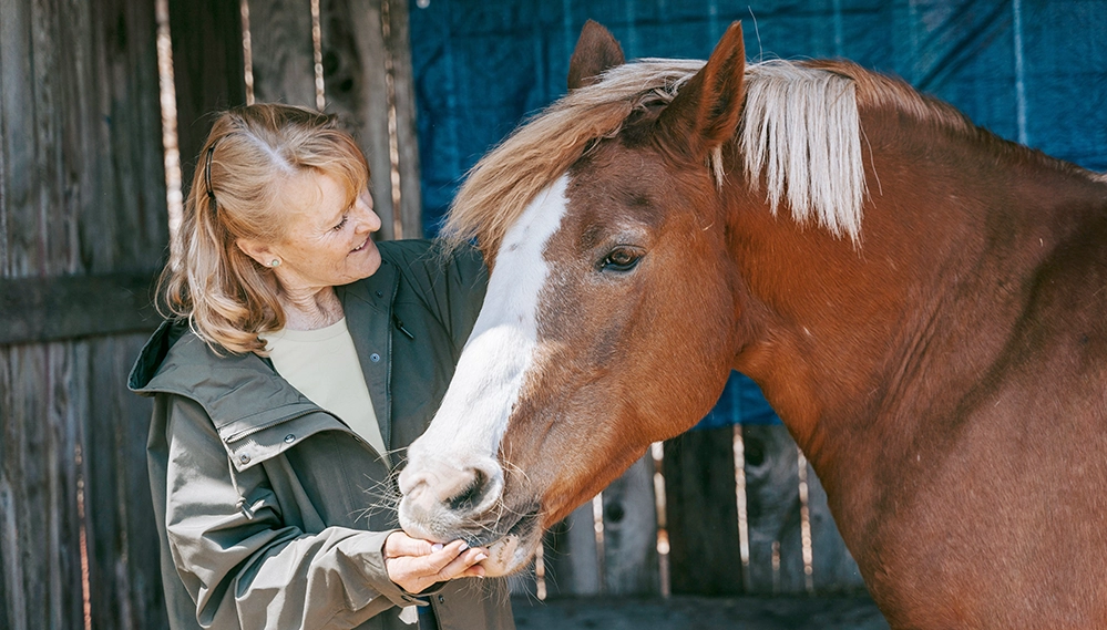 Your Pet Is Protecting Your Brain. Here’s the Proof. 4 An older woman in a green jacket smiles as she feeds a chestnut horse from her hand outside a barn, showing the companionship animals of all kinds provide.