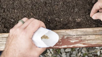 Hand holding seed packet while planting seeds in garden representing retirement planning preparation