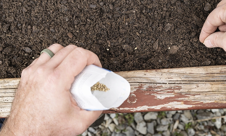 Hand holding seed packet while planting seeds in garden representing retirement planning preparation
