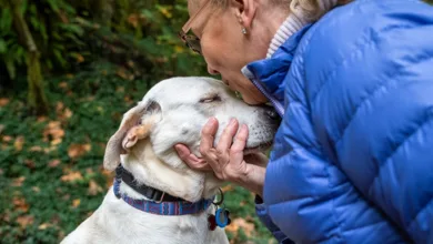 Older woman with glasses tenderly kissing her white lab mix dog outdoors, showing the deep emotional bond between pets and humans.