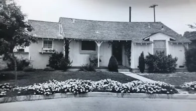 Mom's Fan Spray Nozzle 161 Frankel mom 0525 780x470 1