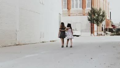 Kottaras 0525 780x470 1