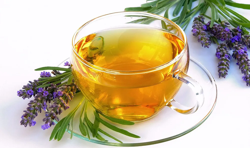 Cannabis for Sleeping 2 Lavender tea W
