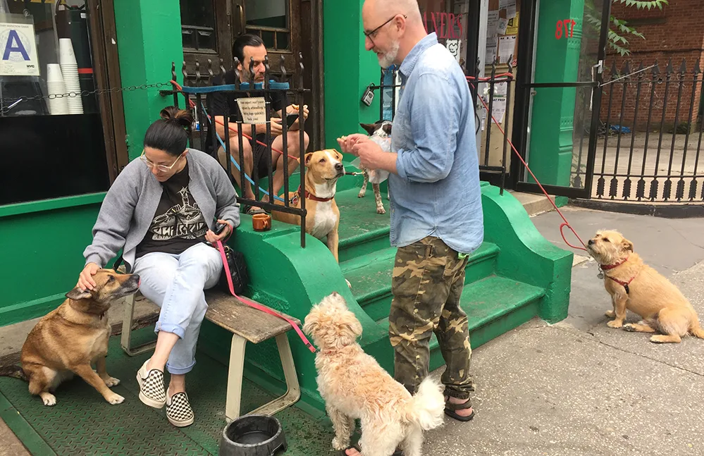 Stronger Together 2 Neighborhood Doggie Gathering W