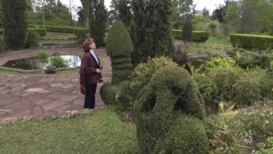 Diane Heiler, 82, author and speaker on aging with vitality, standing in garden with topiary sculptures