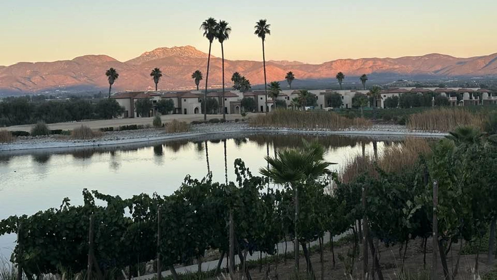 Sunset at El Cielo Resort and Winery with lake, palm trees, and vineyards in Valle de Guadalupe Baja California