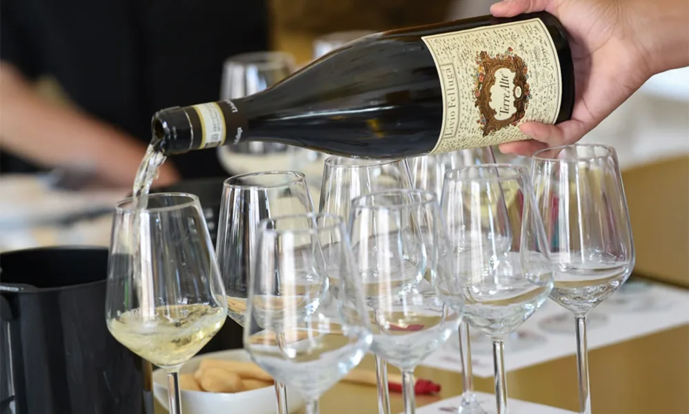 What Is Godello Wine? 2 Godello wine by Filippo Felluga being poured into glasses