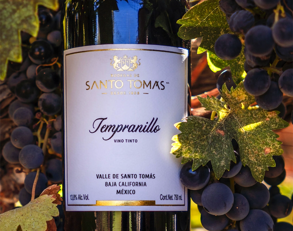 Santo Tomas Tempranillo wine bottle with grapes and leaves at Valle de Guadalupe oldest winery in Baja California Mexico