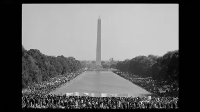 Aerial view of massive antiwar protest crowd gathered at Washington Monument May 1970 following Kent State shootings and Cambodia invasion