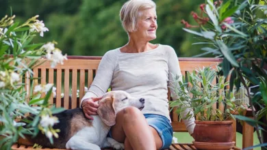 Senior woman relaxing on garden terrace with beagle resting beside her on bench