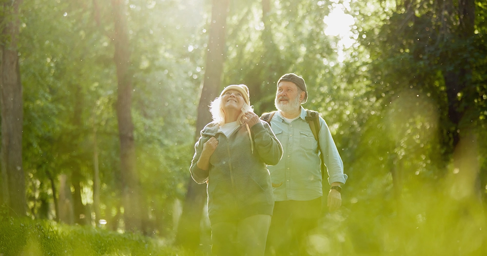 A couple walking together through a sunlit forest surrounded by tall trees