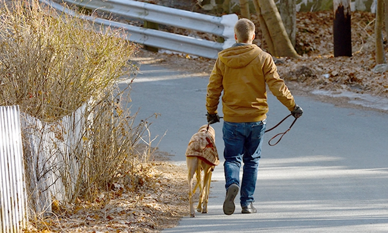 Man walking dog on quiet road in late autumn with bare branches and fallen leaves