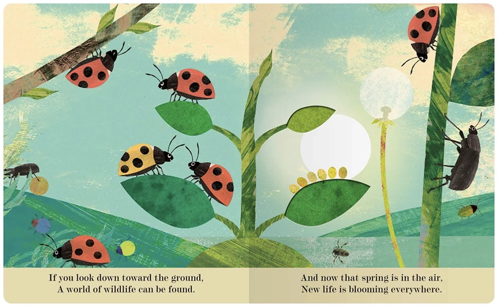 Interior spread of Bugs board book showing ladybugs on leaves with peek-through holes and spring text