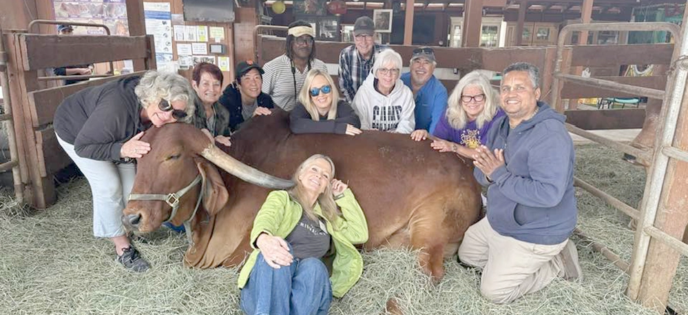 Our group of friends gathered around a Gyr cow after a cow cuddling session