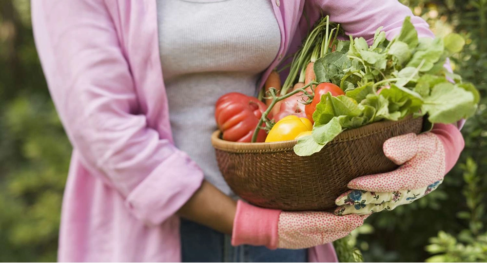 Woman holding a basket of freshly harvested garden vegetables including tomatoes, carrots, and greens