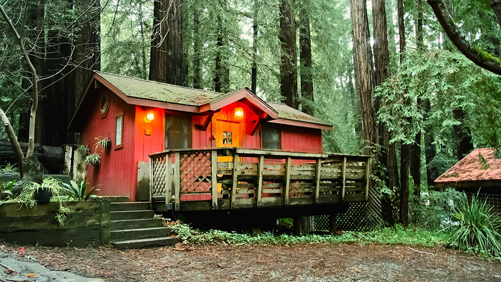 Red cabin glowing with warm light in a redwood forest — finding yourself after retirement