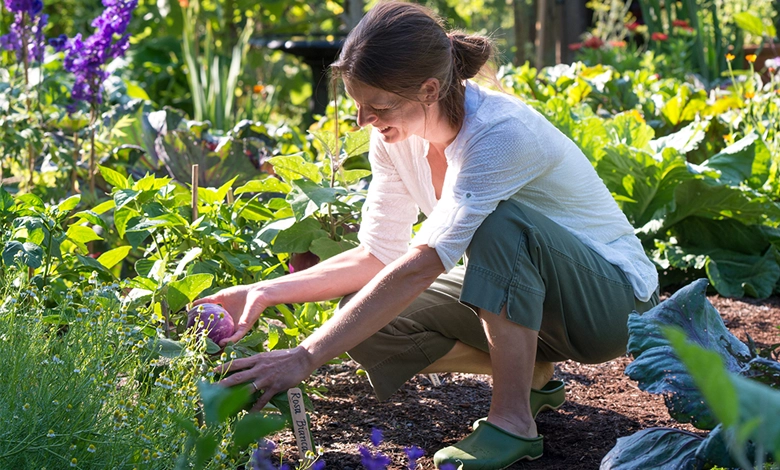 Woman crouching in a lush vegetable garden harvesting fresh produce among flowers and greens