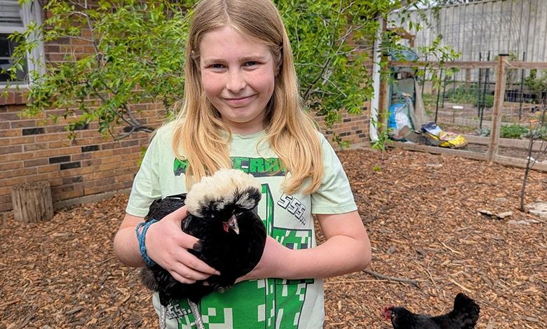 Eleven-year-old Henry Yeager holds a White Crested Black Polish hen in the backyard chicken coop area.
