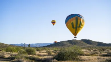 Colorful hot air balloons floating over Sonoran Desert landscape with saguaro cacti and desert hills