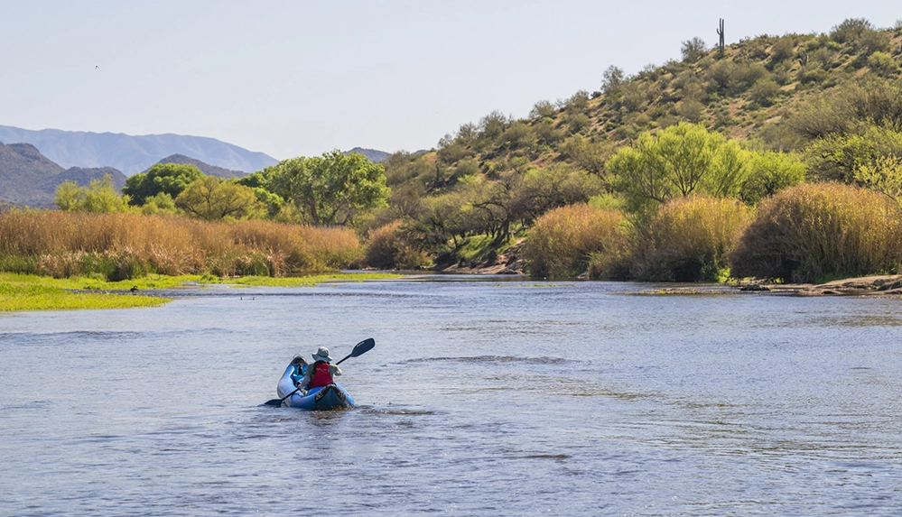 Kayaker paddling the Salt River near Scottsdale surrounded by desert hills and saguaro cacti