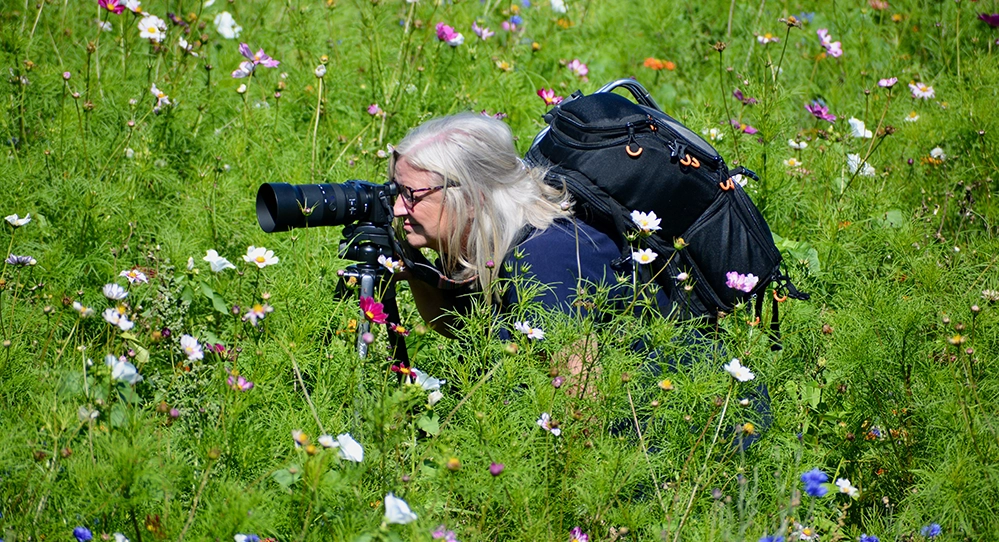 Staying Curious, Staying Happy: Why Engagement Is the Secret Ingredient 3 Older woman crouched in a wildflower meadow, taking photographs with a long-lens camera and a tripod