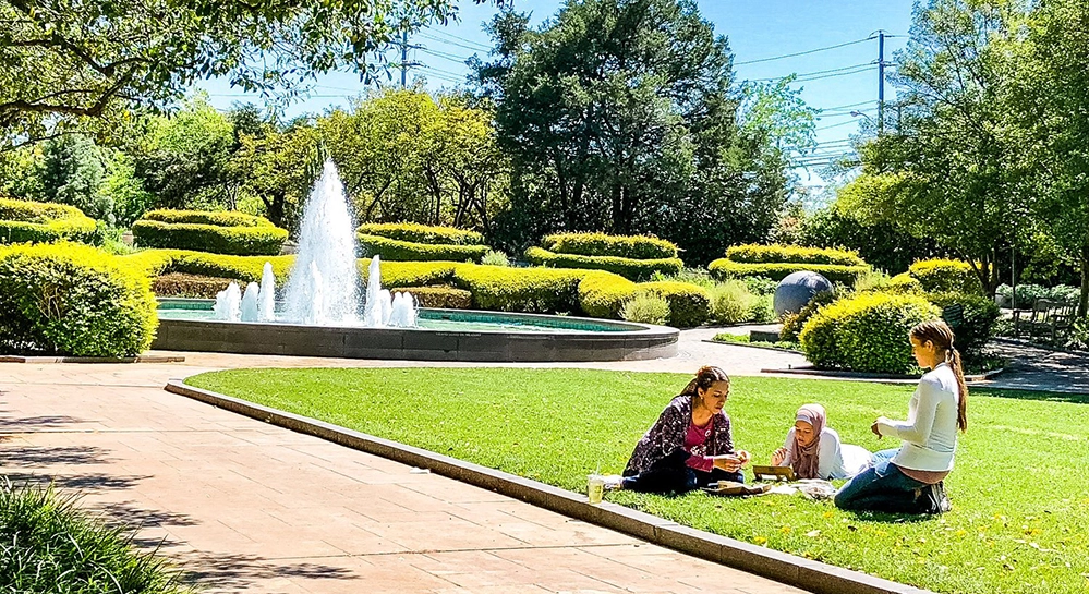 Visitors enjoying time on the lush lawn near the beautiful fountain at the Texas Discovery Gardens near Fair Park Dallas