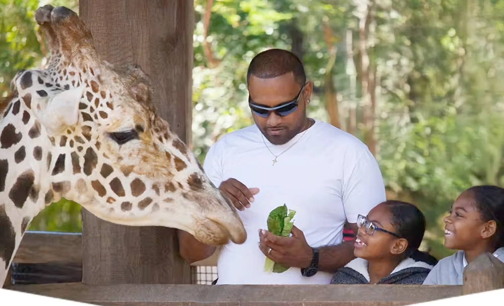 DARTable Staycation: Family Fun Destinations Across Dallas This Summer 2 Visitors feeding a giraffe at the Dallas Zoo on a sunny summer day