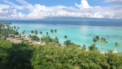 Turquoise waters and lush tropical island in the South Pacific